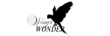 Wings wonder